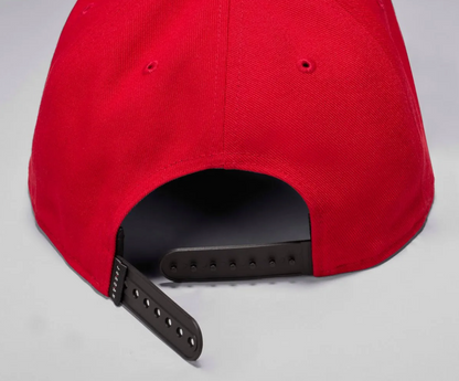 Gorra Jordan Jumpman Pro